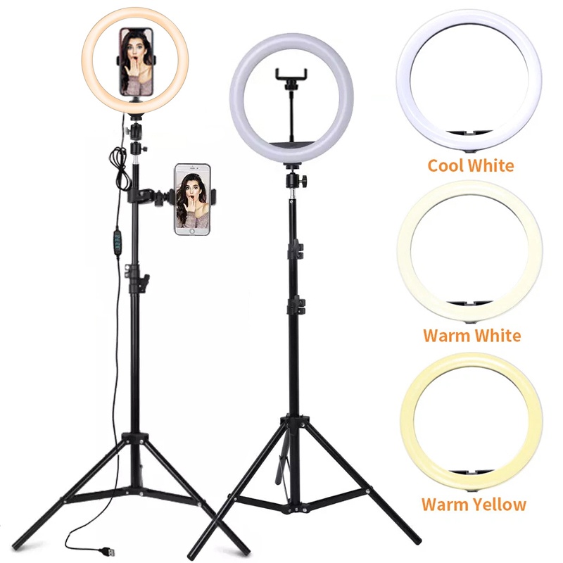 6/10/12 Zoll LED-Selfie-Ringli – Photography Lighting Stick Bewertung und Preis