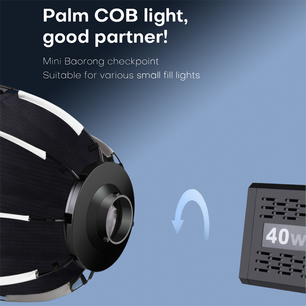 Softbox Mini Bowens Mount Late – Photography Lighting Modifiers Bewertung und Preis