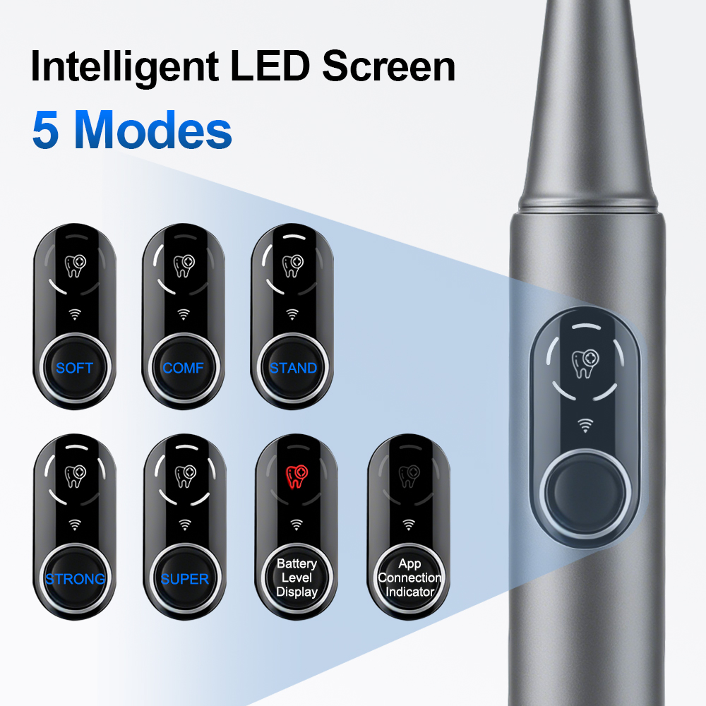 Neuer Visueller Ultraschall-Za – Photography Lighting Products Bewertung und Preis
